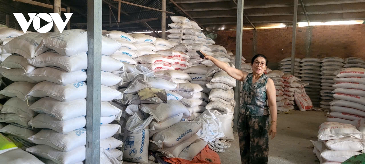 Thị trường lúa gạo chưa khởi sắc, nông dân và doanh nghiệp Đồng Tháp gặp khó khăn